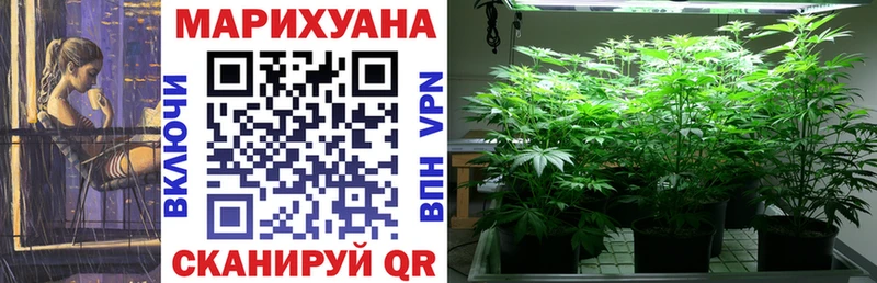 МАРИХУАНА OG Kush  Ртищево 